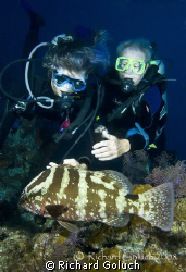 Nassau Grouper and two divers-Turks & Caicos by Richard Goluch 